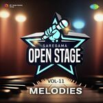 Open Stage Melodies - Vol 11 - Amit Kumar Song Download