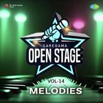 Open Stage Melodies - Vol 14 - Amit Kumar Song Download